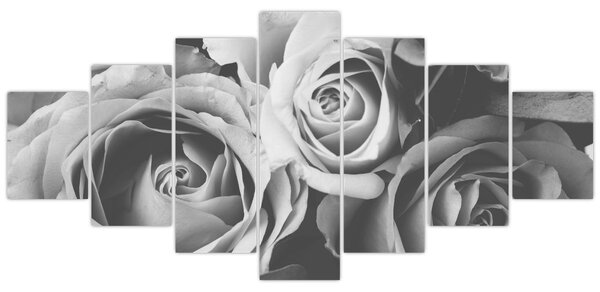 Obraz - Růže, černobílá (210x100 cm)