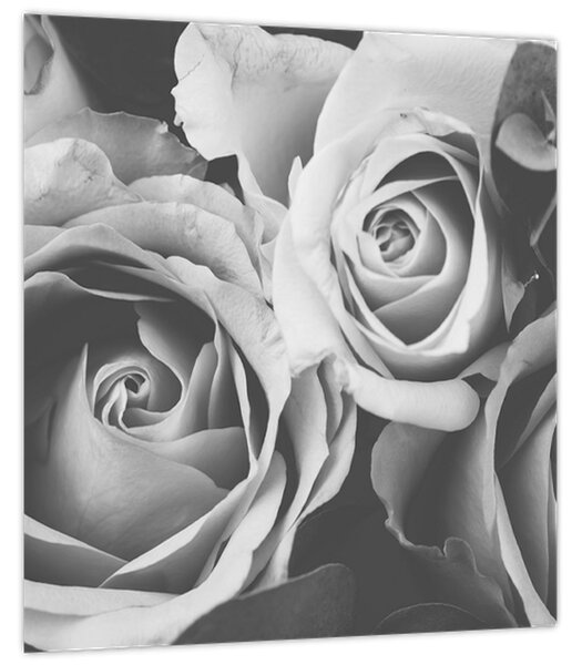 Obraz - Růže, černobílá (30x30 cm)