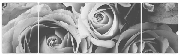 Obraz - Růže, černobílá (170x50 cm)