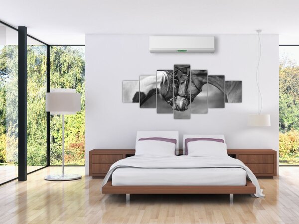 Obraz - Zamilovaní koni, černobílá (210x100 cm)