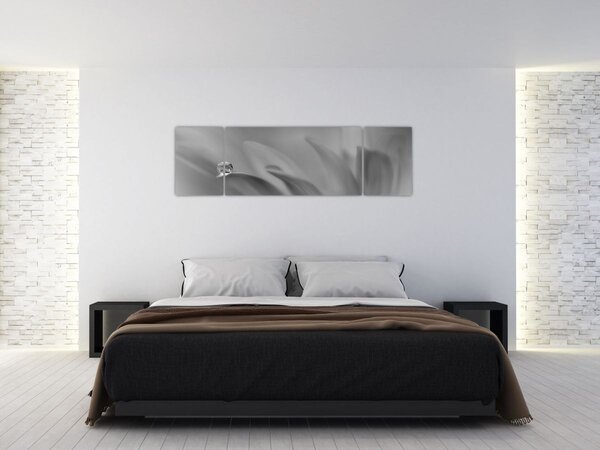 Obraz - Kapka na květu, černobílá (170x50 cm)