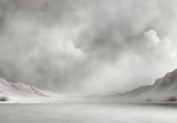 Fototapeta - Šedivá pustina (245x170 cm)