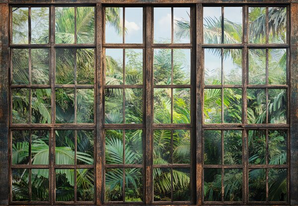 Fototapeta - Okno do džungle (245x170 cm)