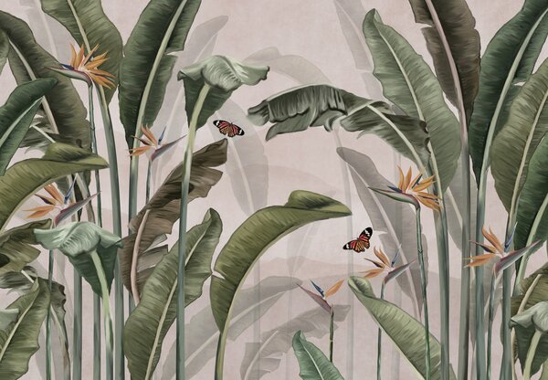 Fototapeta - Jungle s motýly (245x170 cm)