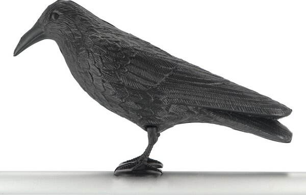 Zahradní figurka z polyethylenu Crow, 21,5 cm, černá