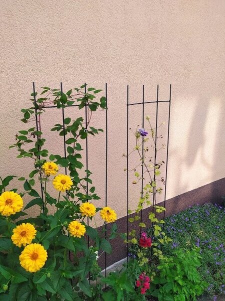 Kovová zahradní pergola, podpěra pro květiny, mříž sada 3ks