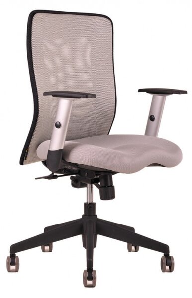 Kancelářská židle CALYPSO 12A11 celosv. šedá