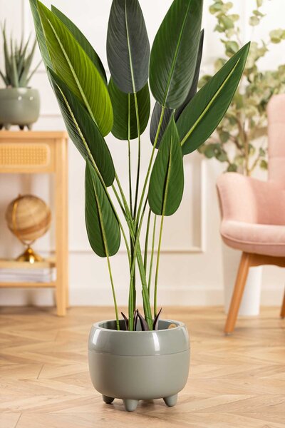 PLASTOVÝ KVĚTINÁČ BOTANICE 30X24 CM ZELENÁ