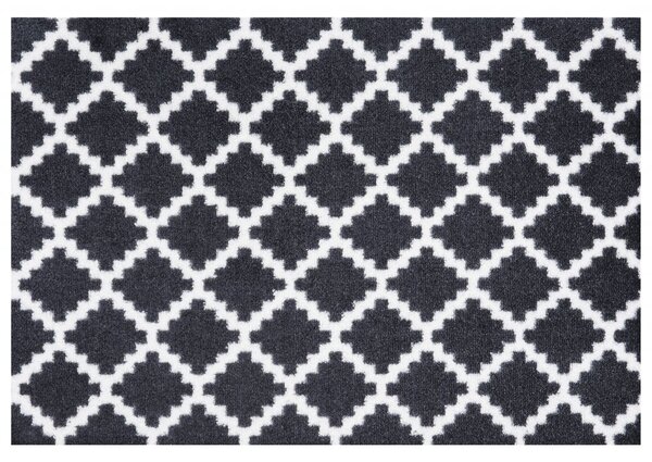 Zala Living - Hanse Home, Protiskluzová rohožka Home Black White 103156 | bílá, černá Typ: 50x70 cm