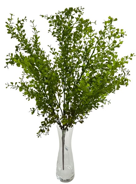 Zeleň větev 60 cm /buxus jemný/