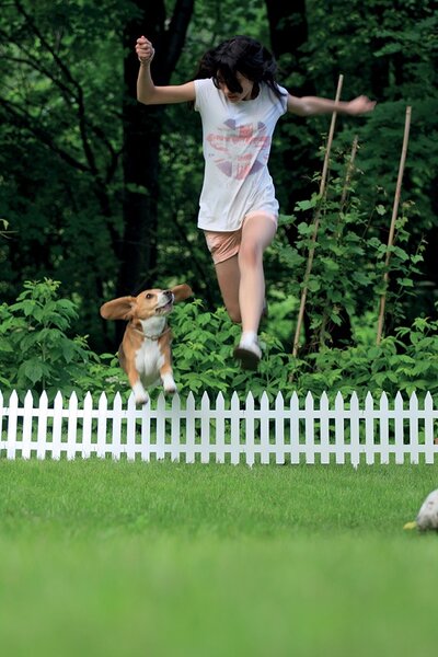 Prosperplast Plůtek zahradní Fence terakota