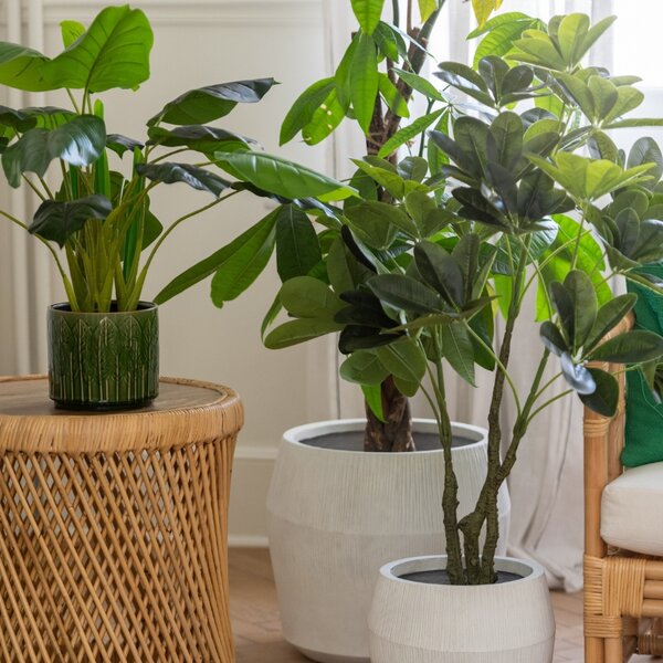 -25 % Dny MOMENTI– J-line Umělá květina Money Tree 110 cm