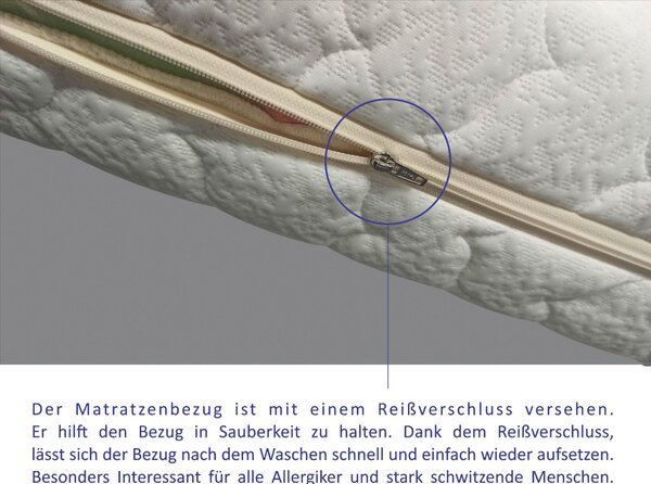 TAŠTIČKOVÁ MATRACE, 90/200 cm Boxxx - Pěnové matrace, Online Only