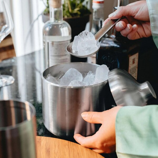 Nádoba na led s naběračkou LIQUIDE LOUNGE Eva Solo stříbrná