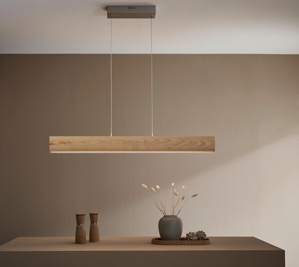 ZÁVĚSNÉ LED SVÍTIDLO, 100/9,5/150 cm - Závěsná LED svítidla