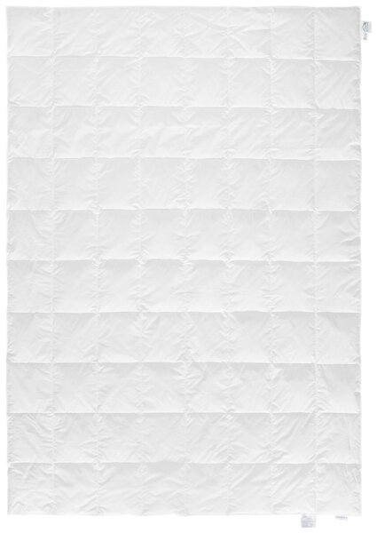 LETNÍ PŘIKRÝVKA, 140/200 cm, prachové peří Sleeptex - Přikrývky