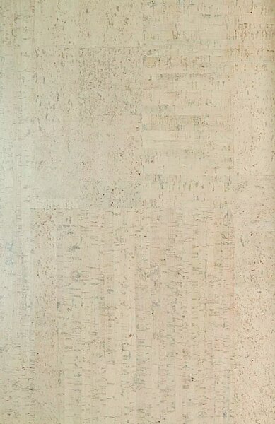 AMORIM WICANDERS Wise cork inspire Fashionable antique white 80003490 - 1.91 m2