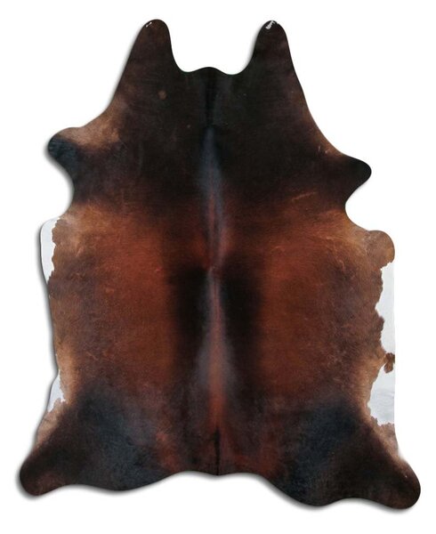 ARCTIC FUR Hovězí předložka 100% příroda