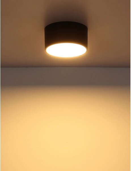 Globo 56964S - LED Stropní svítidlo RAYMOND LED/12W/230V 3000K pr. 15 cm černá