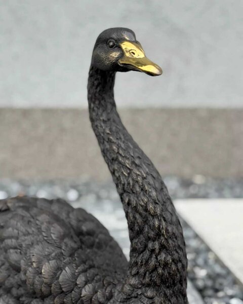 Bronzová socha - Černá labuť