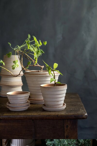 Bergs Potter Terakotový květináč Planet Rosa - 14 cm BP124
