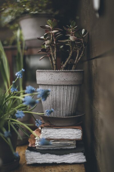 Bergs Potter Terakotový květináč Simona Grey - 12 cm BP121