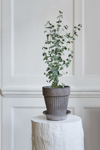Bergs Potter Terakotový květináč Simona Grey - 12 cm BP121