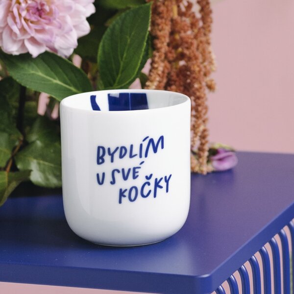 Porcelánový hrnek Bydlím u své kočky 270 ml