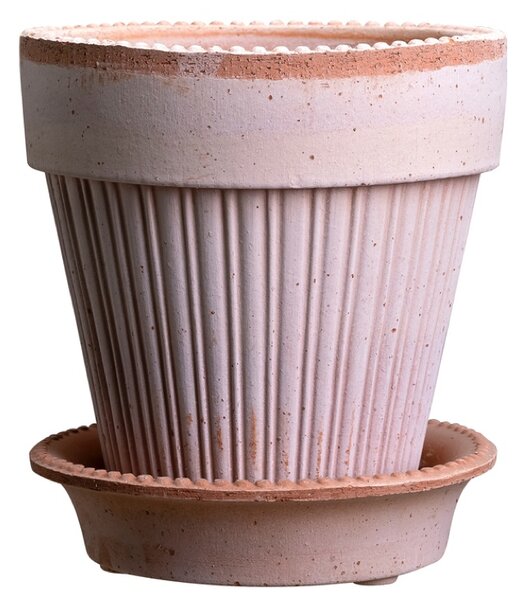 Bergs Potter Terakotový květináč Simona Rosa - 12 cm BP122