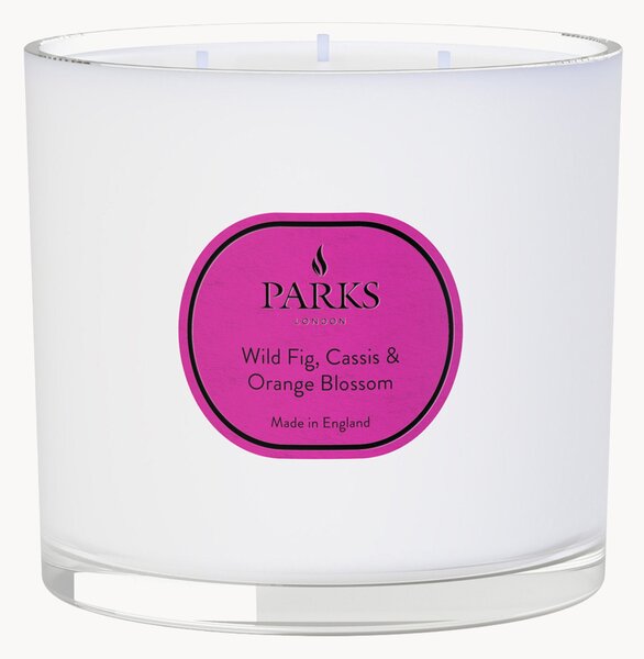 Vonná svíčka se třemi knoty Vintage Aromatherapy (divoká fík, černý rybíz a květy pomerančovníku)