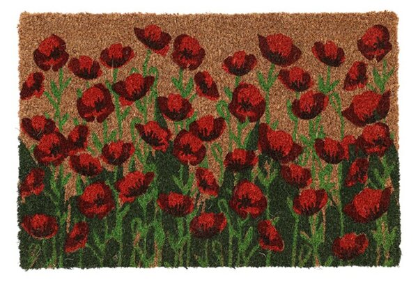 Venkovní rohožka Poppies, 60x40 cm