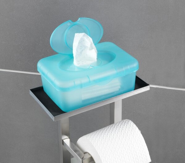 WENKO 23364100 - WC štětka DEBAR 21x70,5 cm nerez/satin/bílá