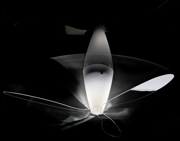 Stropní Lampa Luceplan, stmívatelné, Transparentní, Ložnice, Plast