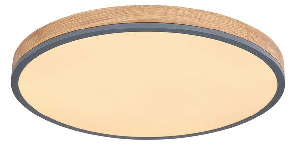 STROPNÍ LED SVÍTIDLO, 60/60/8.5 cm Globo - Online Only svítidla, Online Only