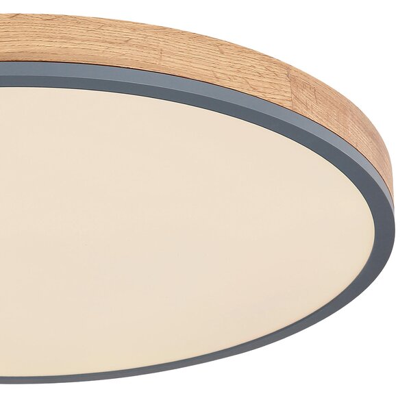 STROPNÍ LED SVÍTIDLO, 60/60/8.5 cm Globo - Online Only svítidla, Online Only