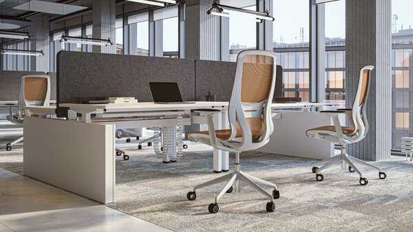 NARBUTAS - Kancelářská židle D-CHAIR