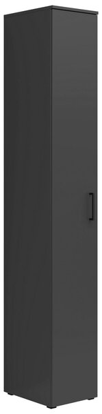 VÍCEÚČELOVÁ SKŘÍŇ, barvy grafitu, 30/195/40 cm Carryhome - Víceúčelové skříně