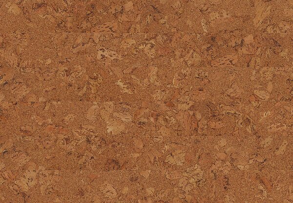AMORIM WICANDERS Wise cork inspire Originals shell 80003485 - 1.91 m2
