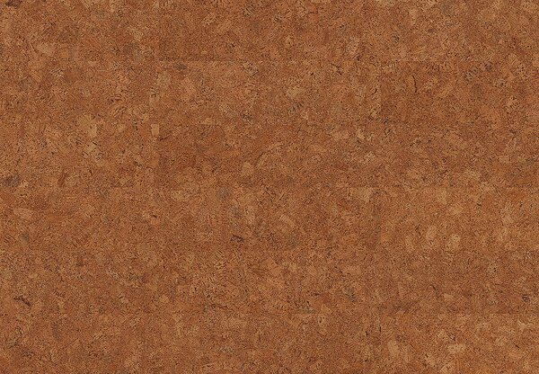 AMORIM WICANDERS Wise cork inspire Originals rhapsody 80003487 - 1.91 m2
