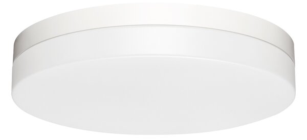 Palnas 61019222 ŠÍŘKA: 360 mm, OVLÁDÁNÍ: DALI, TEPLOTA LED: 3000-4000 K