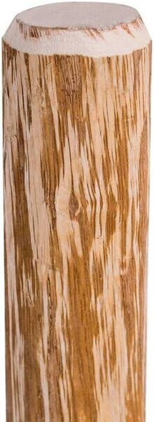 Stern tyče 120 cm - lískové dřevo - špičané konce - ideální pro plot - 4 kusy - m-shop