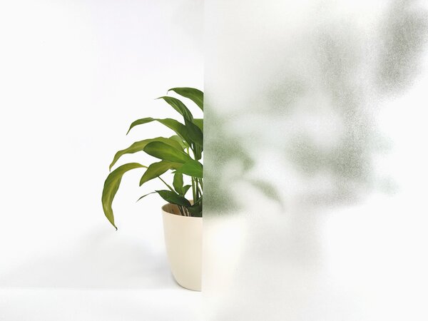 DIMEX | Průsvitná fólie na okno 40-003 | Mléčná matná | šíře 40 cm