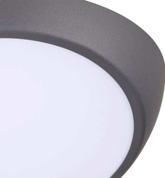 STROPNÍ LED SVÍTIDLO, 26/12,5 cm Novel - Stropní svítidla