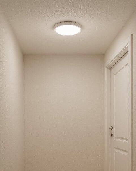 LED Stropní svítidlo LED/18W/230V 3000/4000/6500K pr. 23 cm bílá