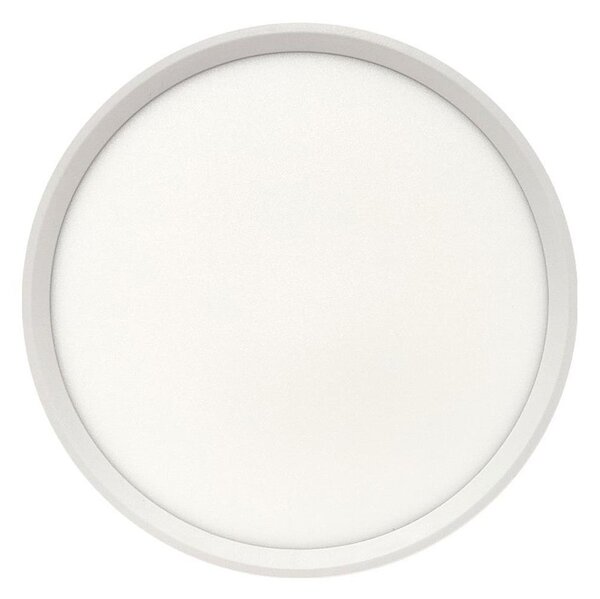 LED Stropní svítidlo LED/24W/230V 3000/4000/6500K pr. 30 cm bílá