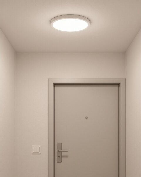 LED Stropní svítidlo LED/24W/230V 3000/4000/6500K pr. 30 cm bílá