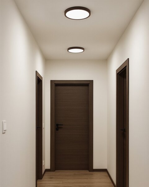 LED Stropní svítidlo LED/18W/230V 3000/4000/6500K pr. 23 cm hnědá