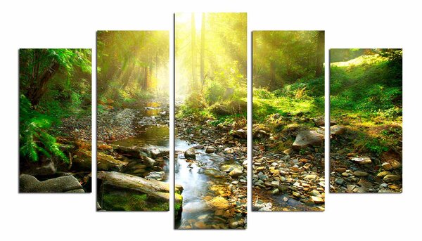ASIR Obraz na MDF 5ks KOUZLO LESA 20 x 60 (1) 20 x 50 (2) 20 x 40 cm (2)