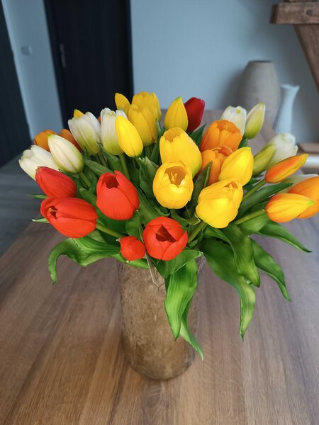 Umělá kytice Tulipány 5 ks, více barev, realistické Barva: Bílá OD_REN2018/BIL