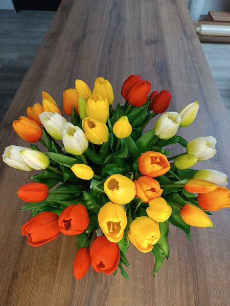 Umělá kytice Tulipány 5 ks, více barev, realistické Barva: Bílá OD_REN2018/BIL